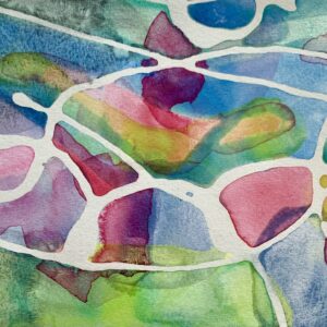 Orca Lithium Series Watercolor 2023